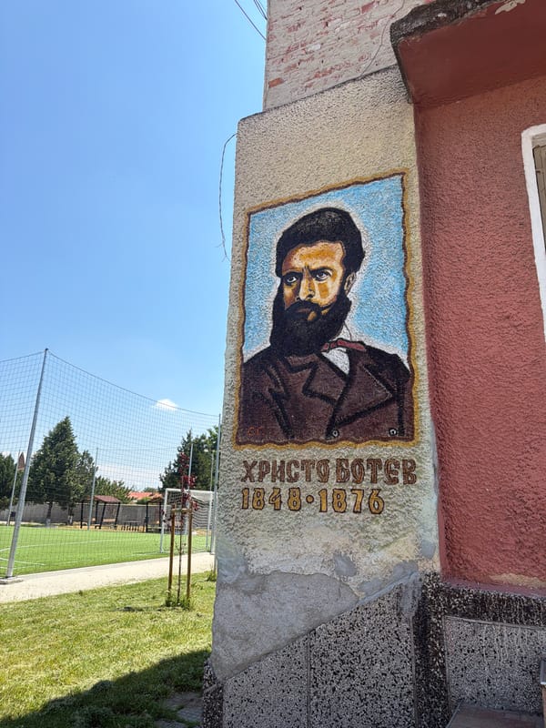 Morning walk documented through Bulgarian village of Zlatitrap