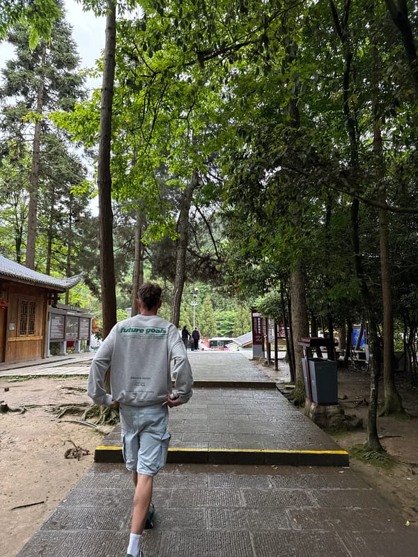 Man walks tree-lined stone pathway in Luoguta, China