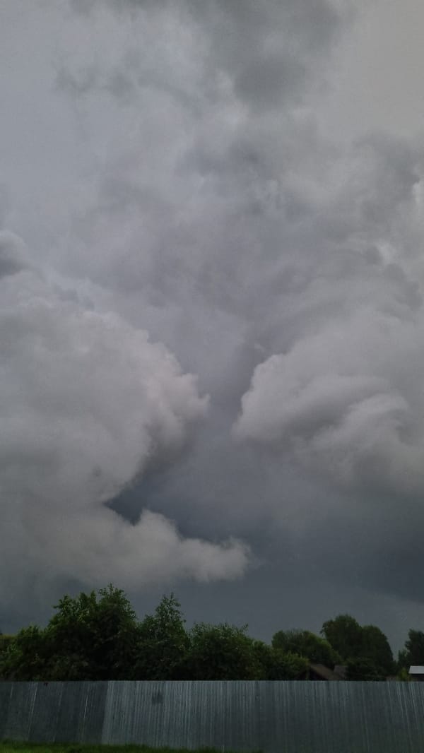 Rainy day in Vysokoe: stormy skies and a cat that doesn't care