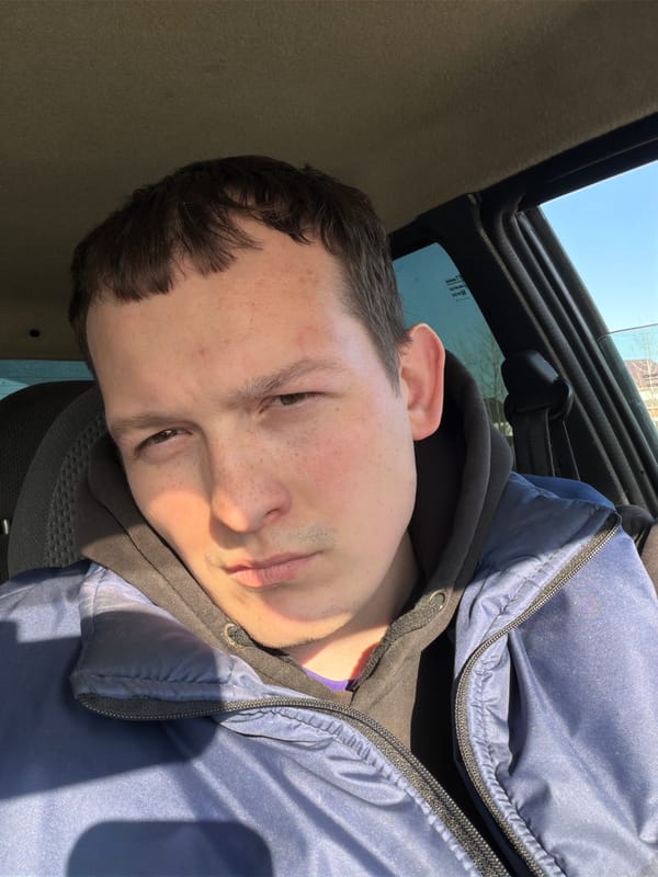 Man photographed in vehicle with open sunroof in Russia