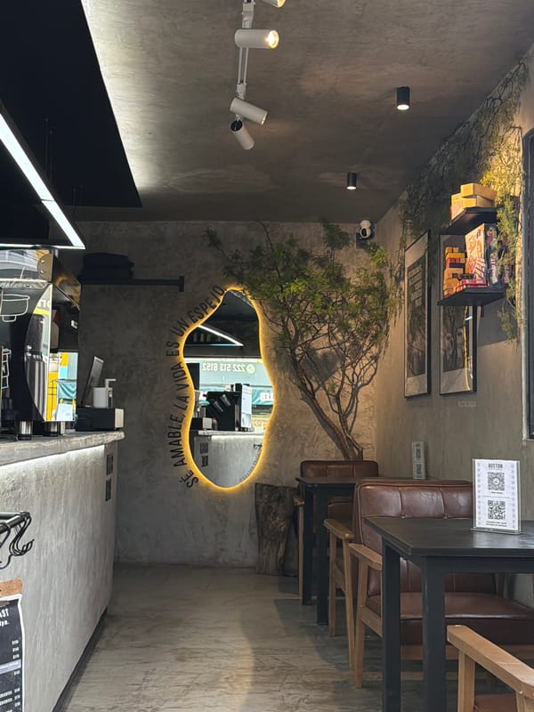 Cafe patron documents hour-long visit with finger skateboarding in Mexico