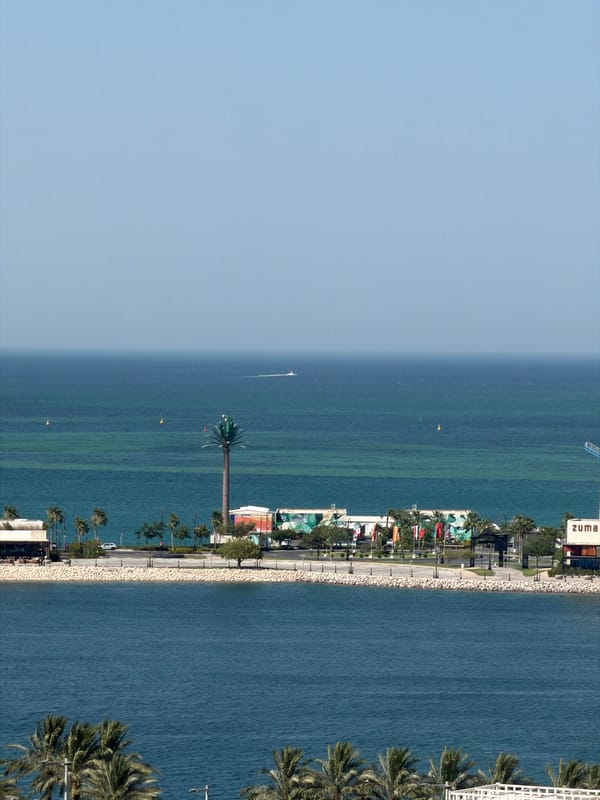 Sunny coastal promenade with beachfront amusement park in view