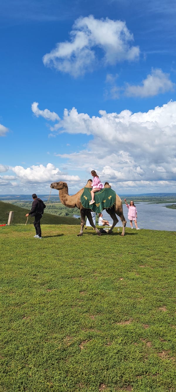 Camel encounter and river panorama from a daytime outing