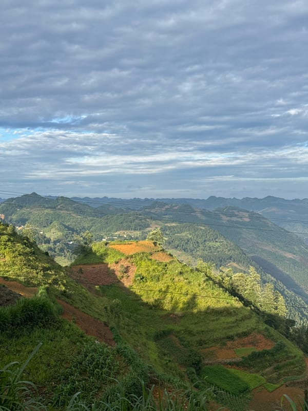 Terraced mountain fields documented in northern Vietnam commune