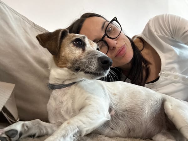 Person relaxes with Jack Russell Terrier on couch in Sofia