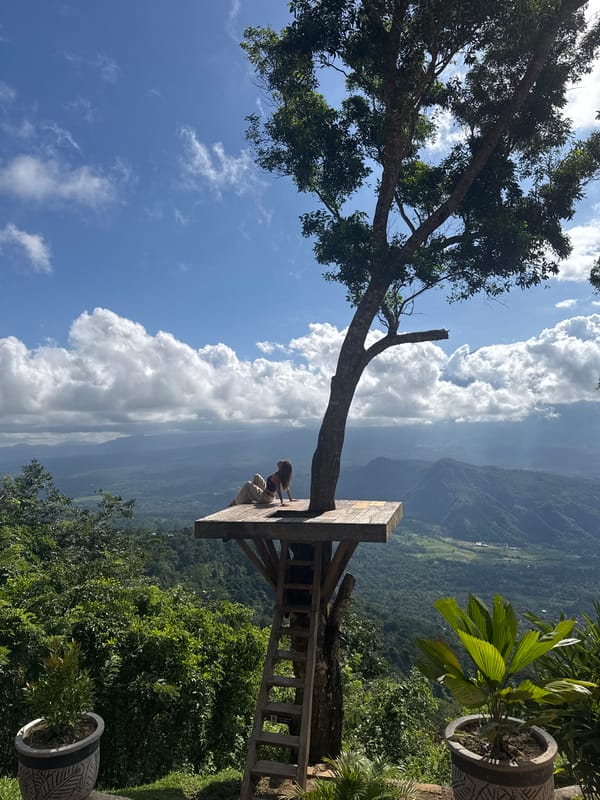 Woman visits scenic tree platform observation deck in Abang