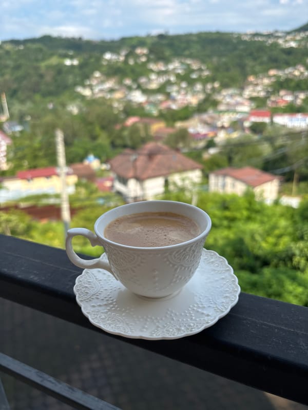Balcony coffee and a pug: a slow Sochi morning