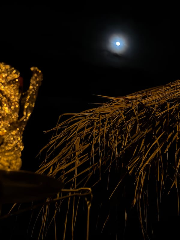 Moonlit evening captured at Arugam Bay beachside establishments