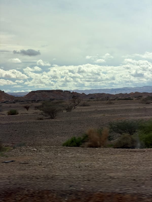 Desert landscape photography session in Israel's Tamar region
