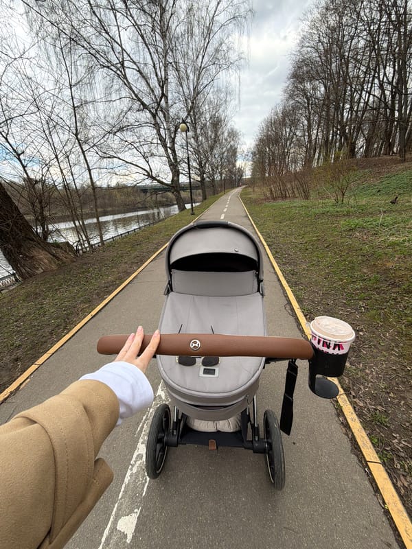 Parent pushes stroller along park path in Khimki