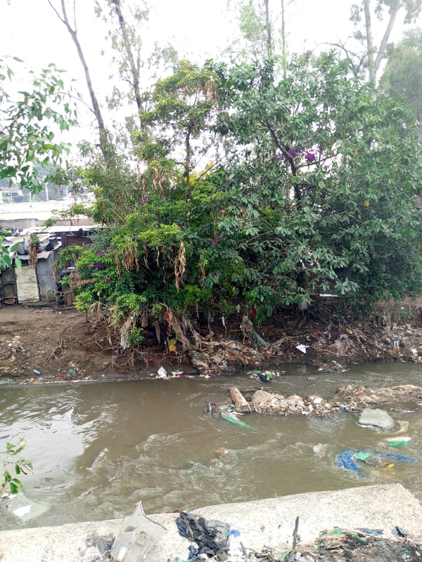 Polluted river with debris observed in urban Nairobi area