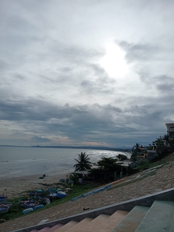 Coastal scenes document overcast day with beaches, architecture, dogs
