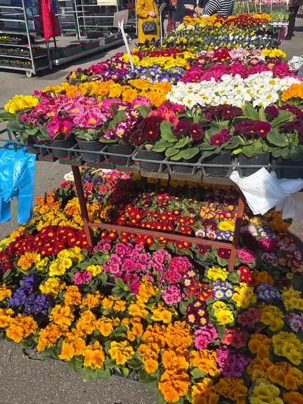 Spring market bustling with flowers and produce in Zagreb