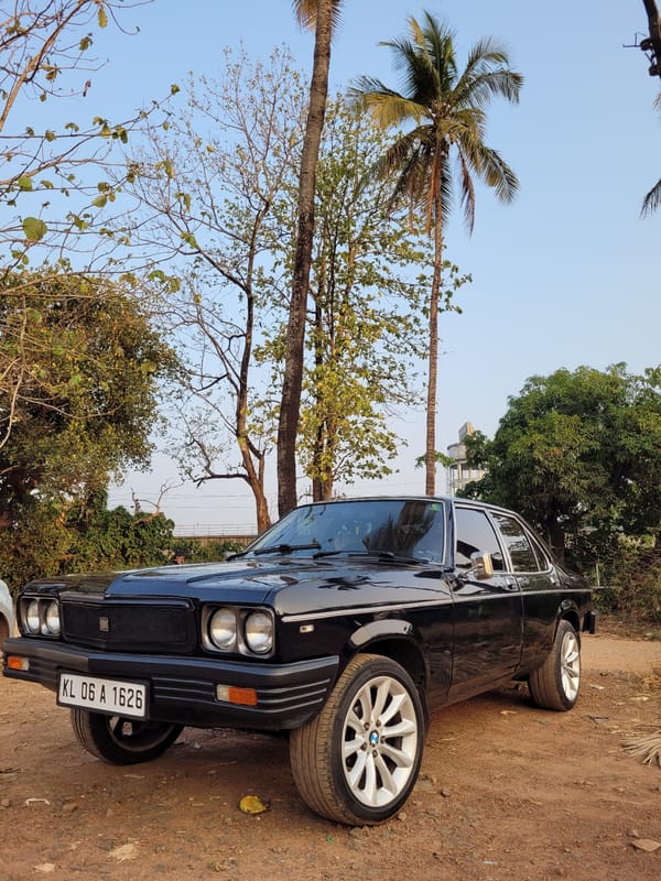 Black cars spotted on dirt roads near trees