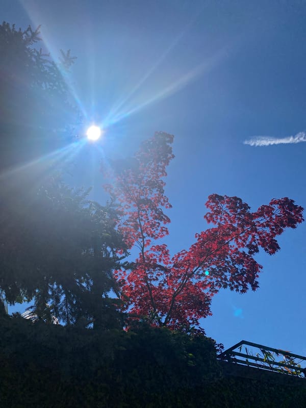 Peaceful spring morning documented in Sochi, Russia