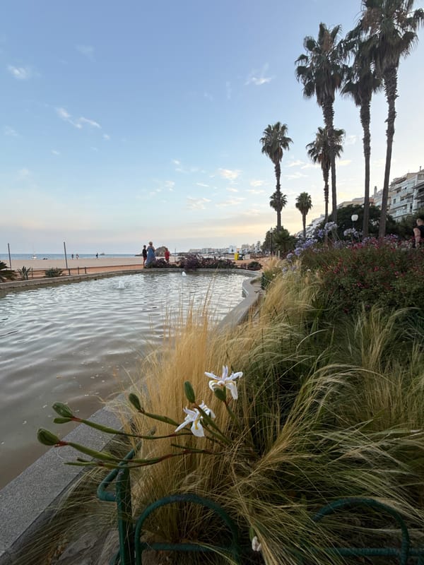 Live music, circle dancing, and summer scenes in coastal Blanes