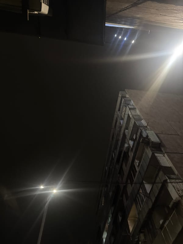 Nighttime street gathering documented in Yerevan with dog present