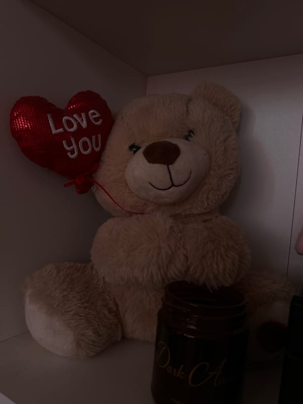 Indoor items photographed in Vidin: teddy bear, candle, wine