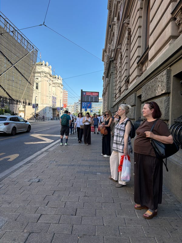 Flower vendor set up on a sunny Belgrade sidewalk