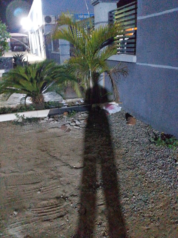 Nighttime street activity documented around Essence Place Hotel, Adankolo