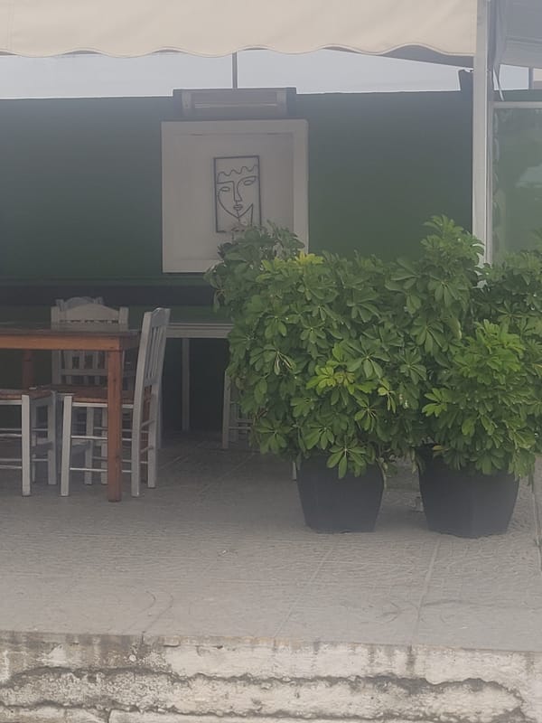 Urban street scene with plants and utility pole observed