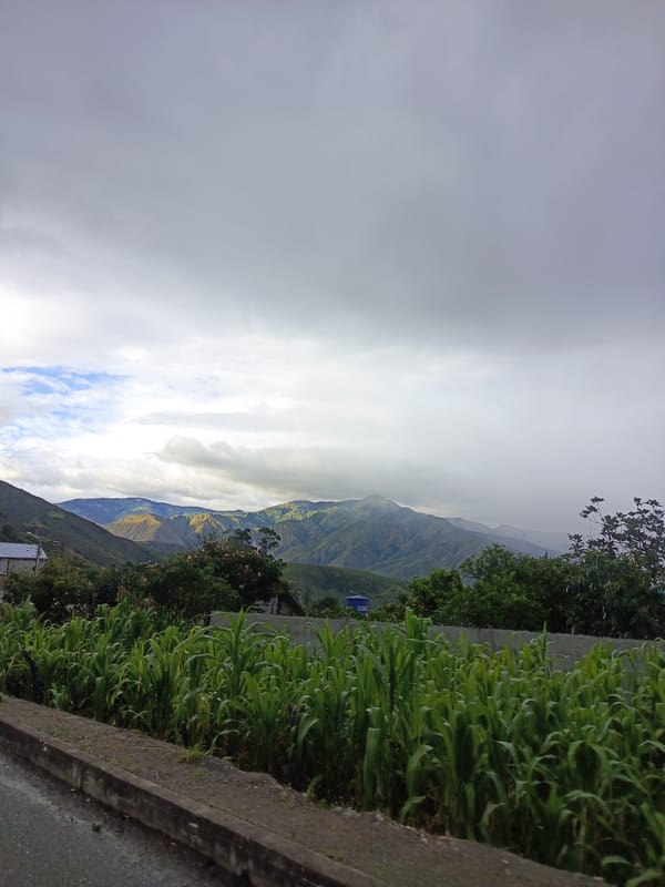 Rural roadside scenes documented near San Pedro de la Bendita