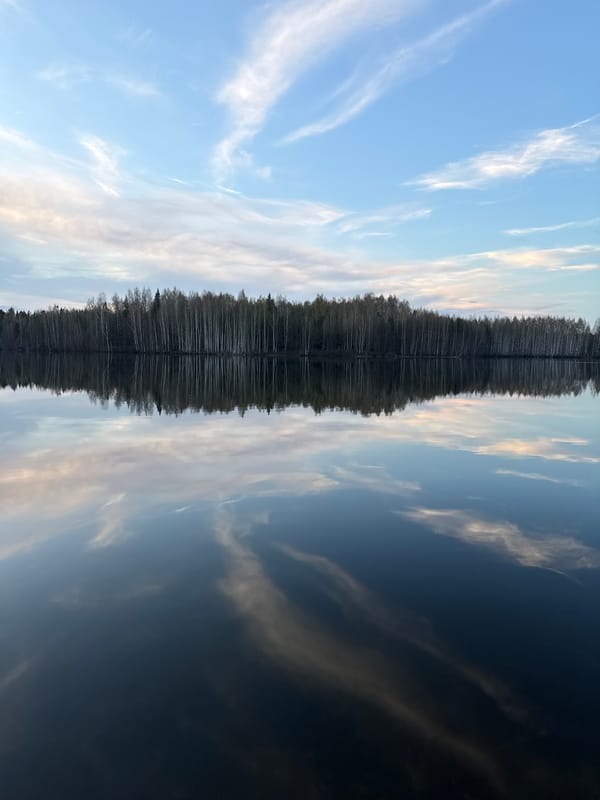 Person observes reflections at water's edge in Chernushka