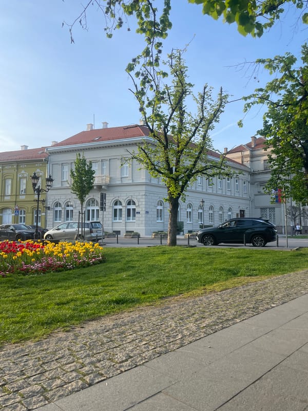 Spring afternoon documented across Novi Sad streets and parks