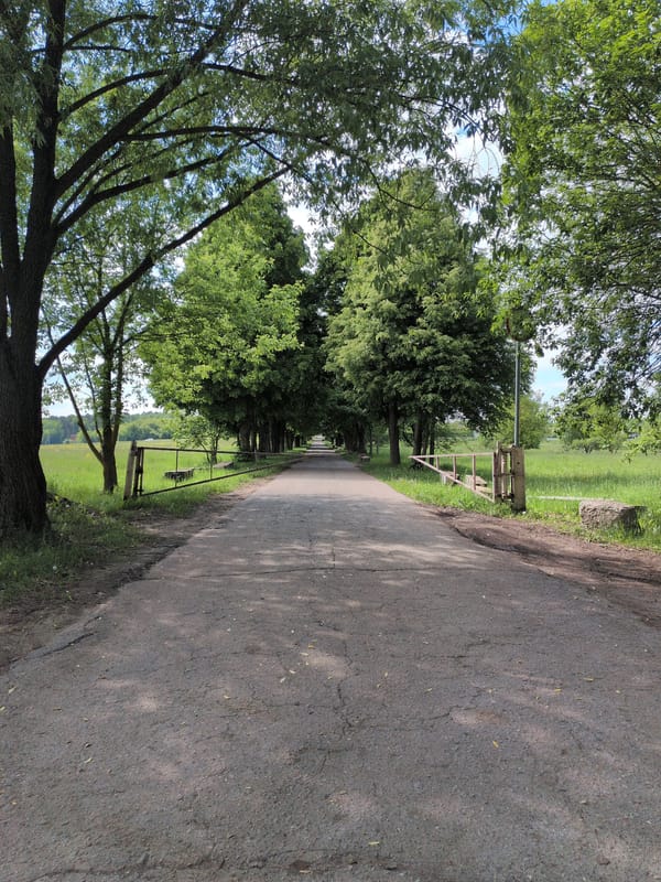 Walking tour documented through Dubrovitsy research grounds and parkland