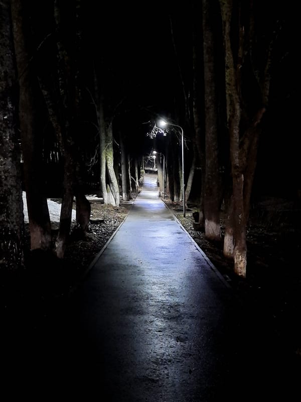Holiday lights and dark walkway captured in Krasnogorskoye
