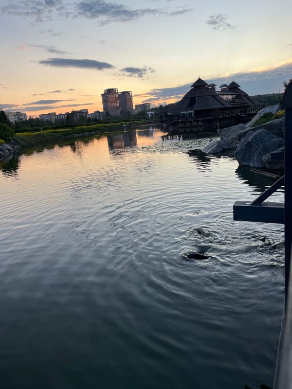 Dnipro riverside park at golden hour: wildlife, lilies, and thatched architecture