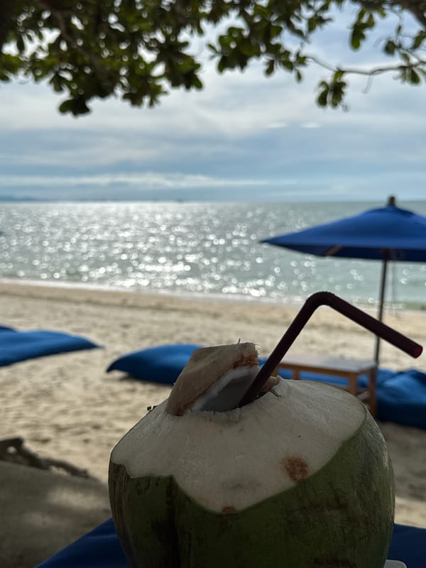 Coconut drink captured on Baan Tai beach, Thailand