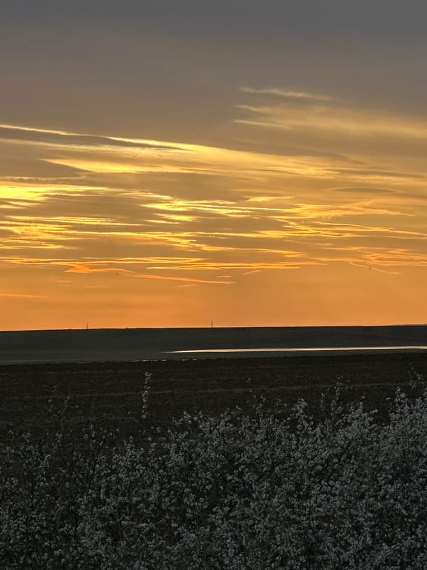 Spring blooms captured under dramatic sky in Nikolovo