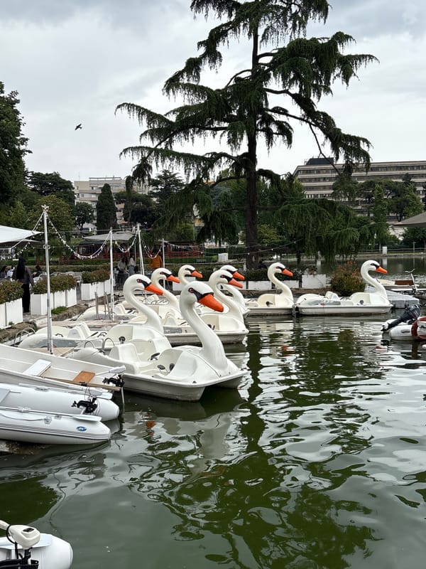 Casual scenes documented around Rome's waterfront and restaurants