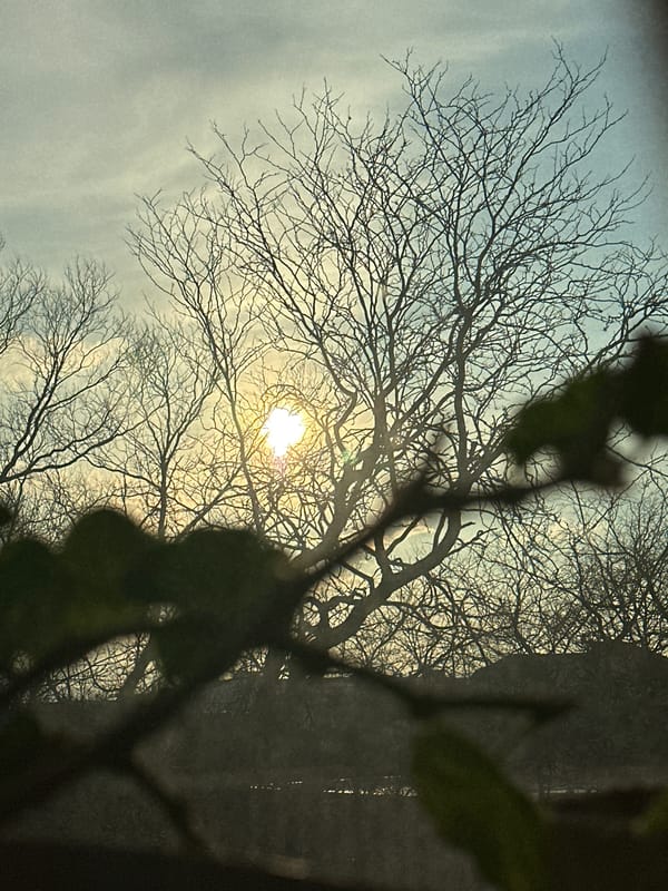 Disparate images captured in Varna show nature scene, motivational text