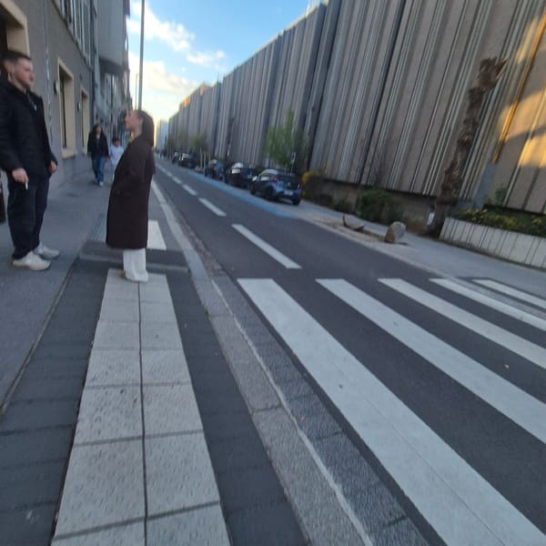 Street scene with crosswalk and parked bicycles in Strasbourg