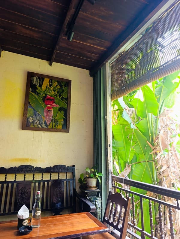 Morning cafe and banana tree scenes captured in Đà Nẵng