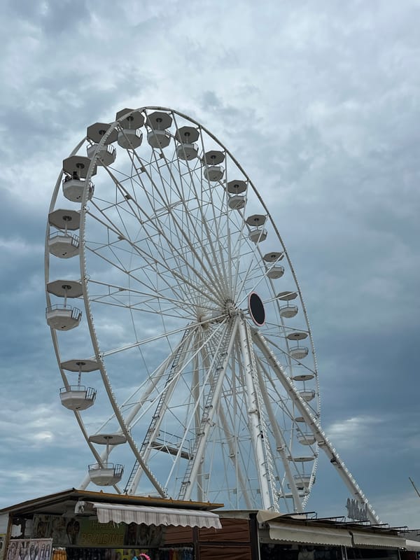 Ferris wheel and exotic bird display spotted in Nesebar