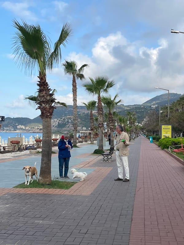 Early morning scenes captured along Alanya Turkey waterfront promenade