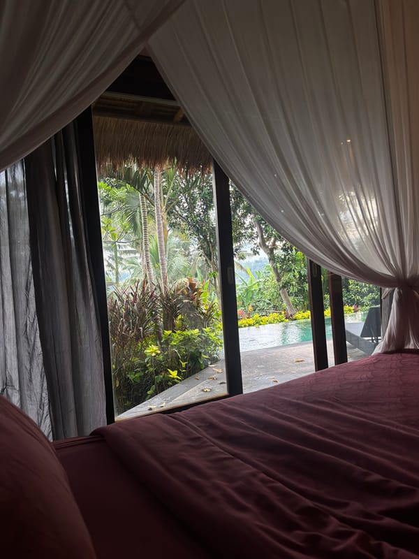 Bedroom views of tropical landscape captured in Ubud