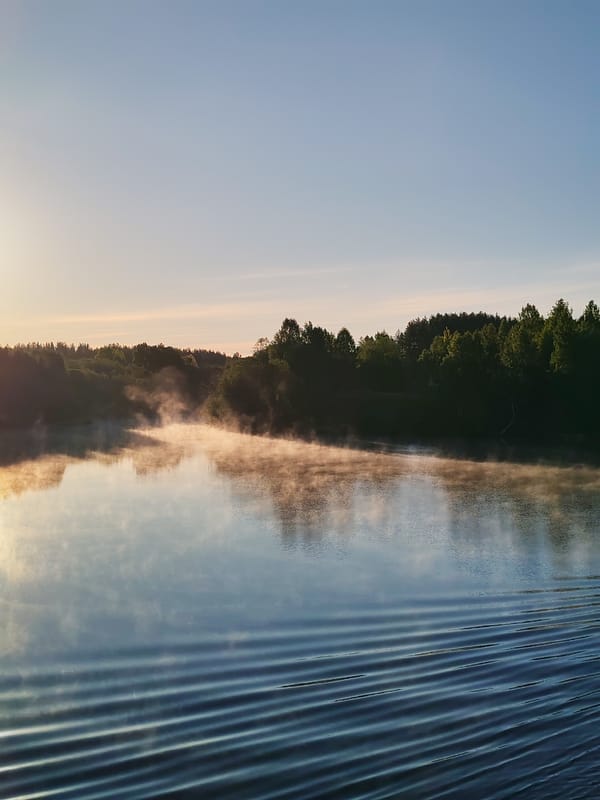 Dawn breaks over Russian waterway near Старое Петровское