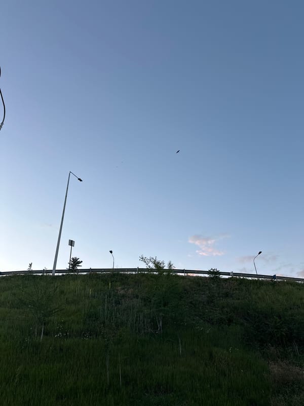 Evening sky documented over Yerevan streets and highway