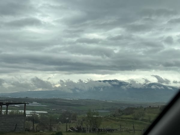 Overcast morning landscape captured in rural Levunovo, Bulgaria