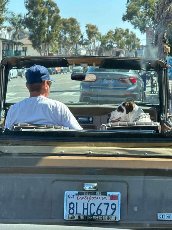 Open-top vehicle photographed on San Diego street