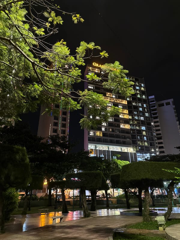 Nha Trang beachfront comes alive with nighttime activity