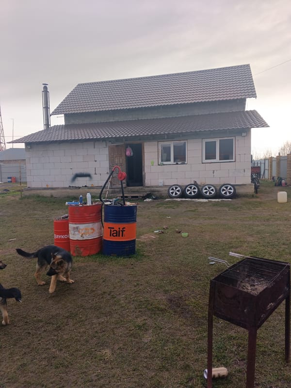 Morning family life documented in rural Russian home construction