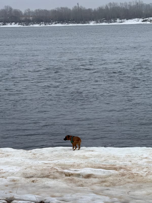 Family fishing trip with dog captured along snowy Russian riverbank