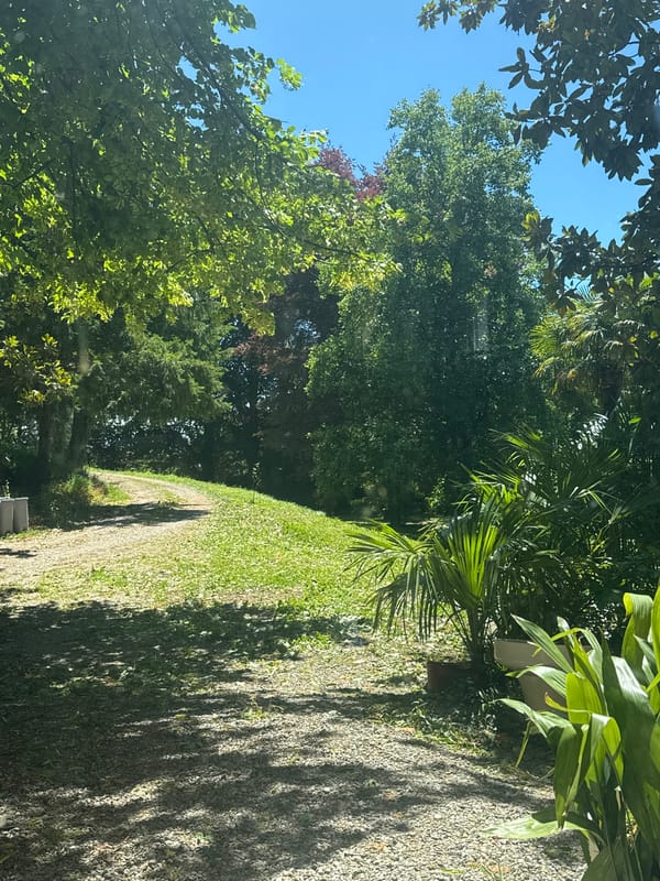 Peaceful garden path captured in Erba, Italy