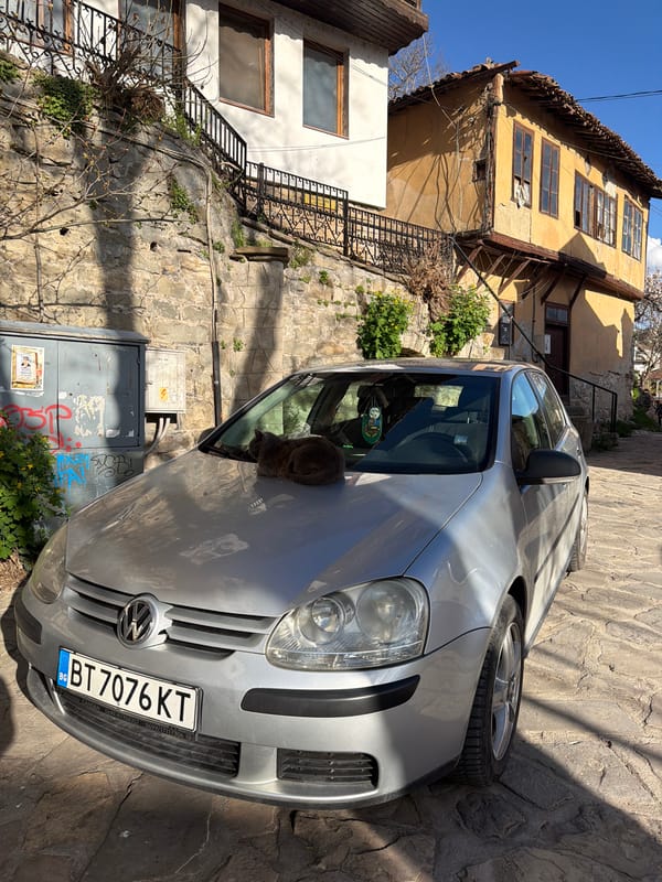 Cat rests on car hood near mural in Veliko Tarnovo