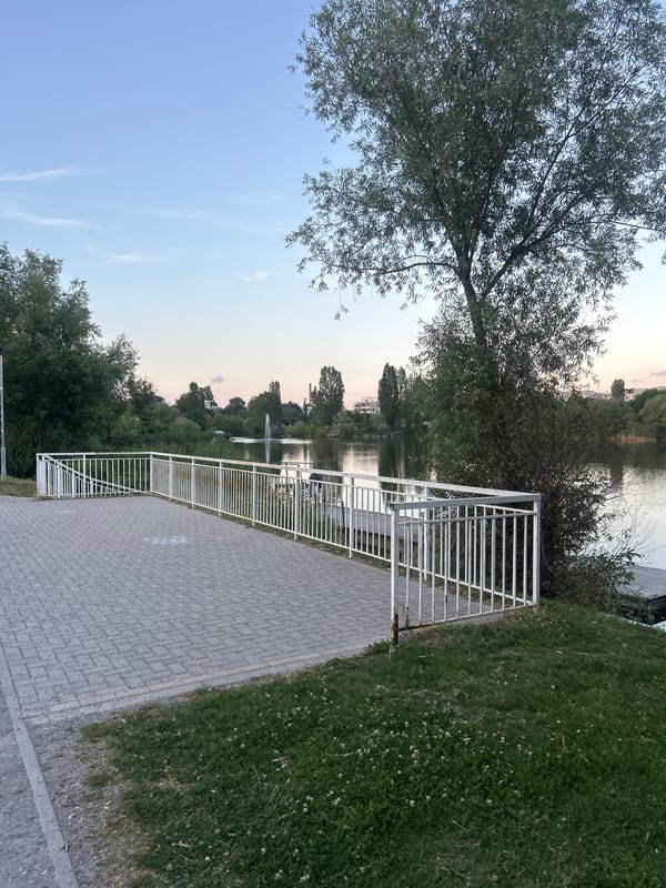 A Sofia evening: park waterfront, kitchen, and a spaniel